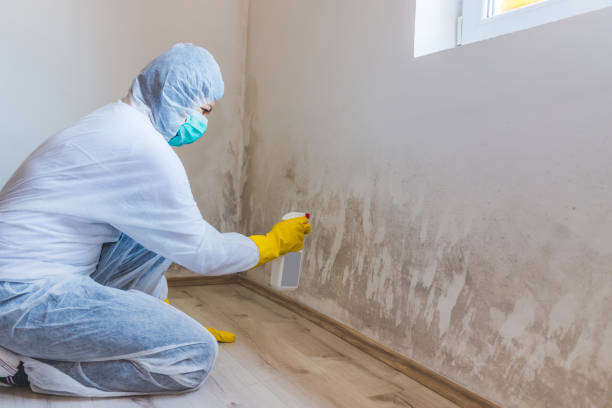 Hvac And Air Duct Mold Remediation inspection of HVAC system in Selma
